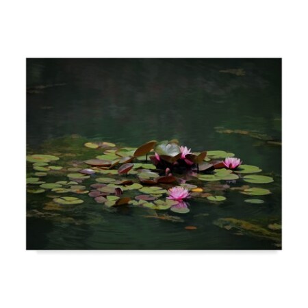 J.D. Mcfarlan 'Water Lillies' Canvas Art,35x47
